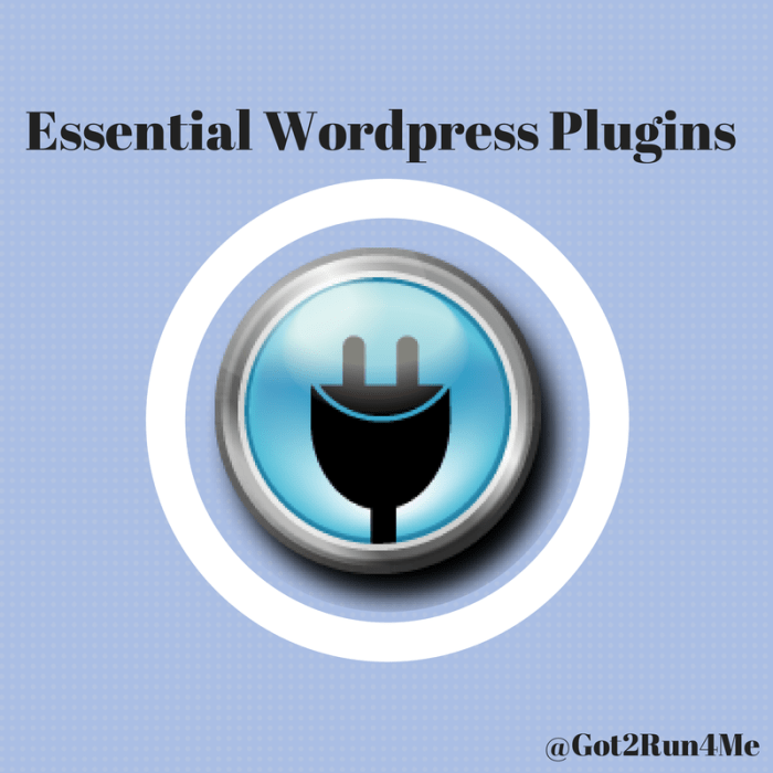 Plugin wajib untuk WordPress