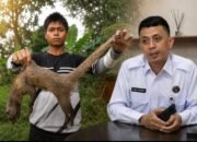 Tahanan Kasus Judi Online Meninggal di RS Bhayangkara, Keluarga Soroti Lebam dan Bekas Luka