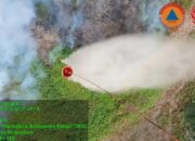 Sebanyak 52 Armada Udara Dikerahkan Tangani Karhutla di Enam Provinsi
