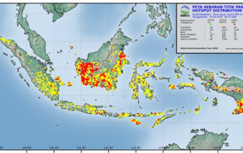 Potensi Karhutla Meningkat, Sumatra, Jawa, dan Kalimantan Jadi Perhatian